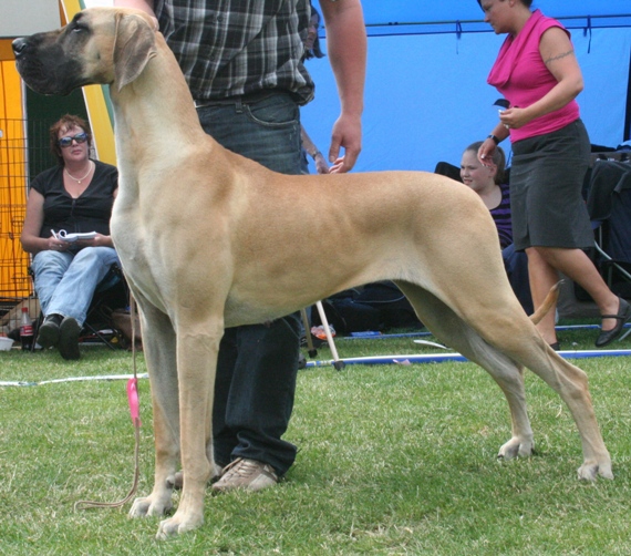 JV-07, Finnish Champion