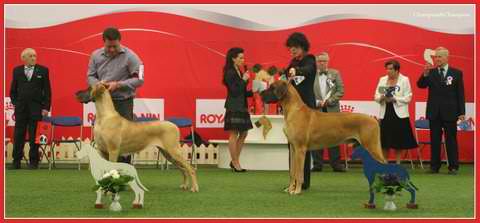 Daisy Wins Round 1 at Top 20