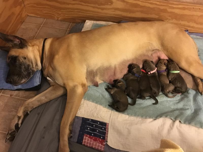 Mama Relaxing with Babies