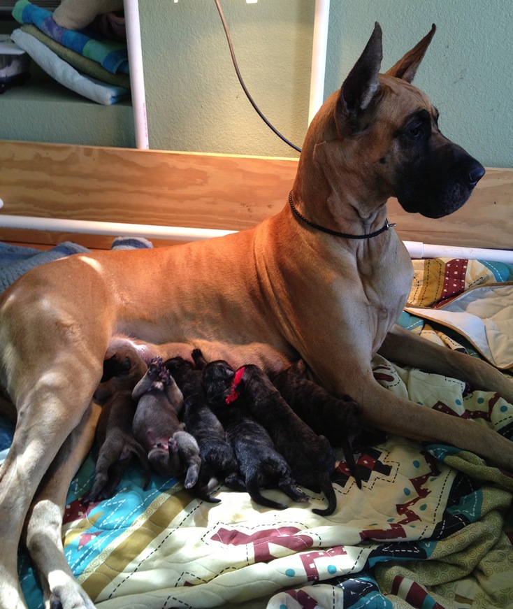 Windy & Babies